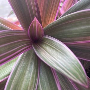 Meet your Posher, Clara